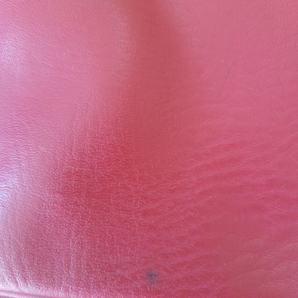 Red Coach - Picture 3 of 3